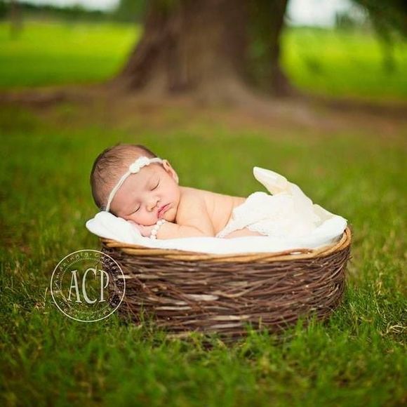 Meet your Posher, Giselle - Picture 1 of 1